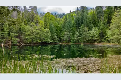 5657 Worman Road, Ahwahnee, CA 93601 - Photo 32