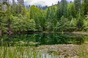 5657 Worman Rd, Ahwahnee, CA 93601 - Photo 32