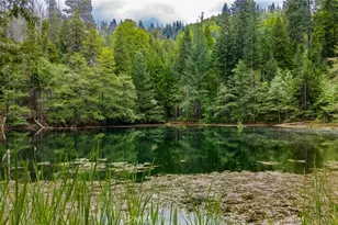 5657 Worman Rd, Ahwahnee, CA 93601 - Photo 38