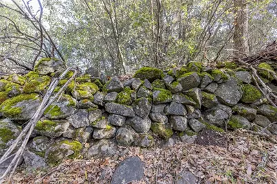 1839 Appleseed Lane, Mariposa, CA 95338 - Photo 28