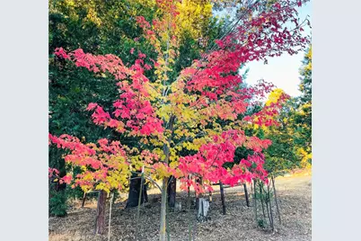 7072 Cranes Nest Road, Mariposa, CA 95338 - Photo 70
