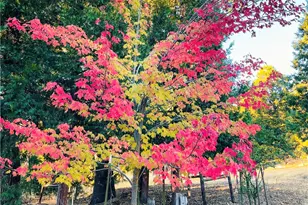 7072 Cranes Nest Rd, Mariposa, CA 95338 - Photo 70