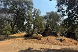 5393 Schafer Rd, Mariposa, CA 95338 - Photo 10