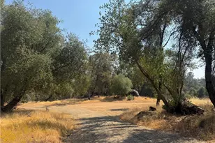 5393 Schafer Rd, Mariposa, CA 95338 - Photo 18