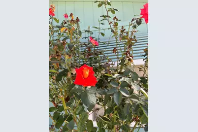 5277 Highway 49 #79, Mariposa, CA 95338 - Photo 4