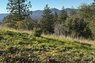 5830 Half Dome, Mariposa, CA 95338 - Photo 32