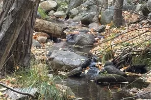 2458 Coachman, Mariposa, CA 95338 - Photo 38