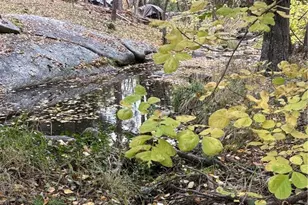 2458 Coachman, Mariposa, CA 95338 - Photo 40