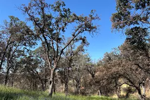 5358 Mariposa Heights Rd, Mariposa, CA 95338 - Photo 1
