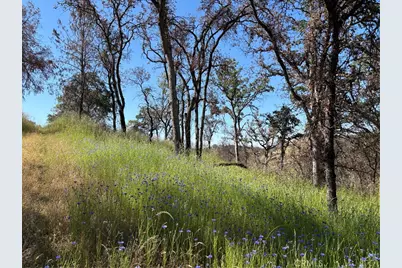 5358 Mariposa Heights Road, Mariposa, CA 95338 - Photo 8
