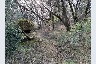 0 Daffodil Drive, Mariposa, CA 95338 - Photo 8