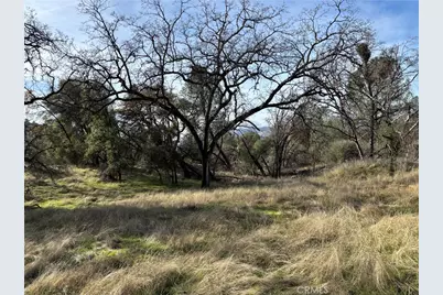 0 Daffodil Drive, Mariposa, CA 95338 - Photo 1