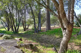 5641 Darrah, Mariposa, CA 95338 - Photo 52