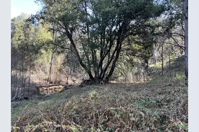 5643 Darrah Rd, Mariposa, CA 95338 - Photo 46