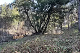 5643 Darrah Rd, Mariposa, CA 95338 - Photo 46