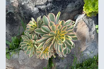 3311 Highway 140, Catheys Valley, CA 95306 - Photo 40