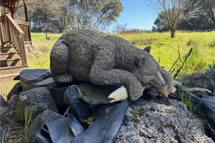 4026 Guadalupe Creek Rd, Mariposa, CA 95338 - Photo 56