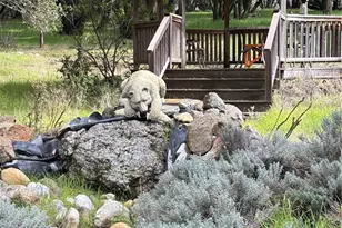 4026 Guadalupe Creek Rd, Mariposa, CA 95338 - Photo 48