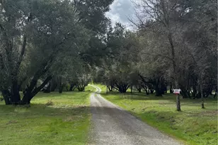 4026 Guadalupe Creek Rd, Mariposa, CA 95338 - Photo 2