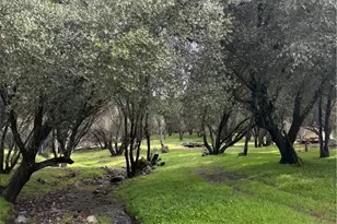 4026 Guadalupe Creek Rd, Mariposa, CA 95338 - Photo 4