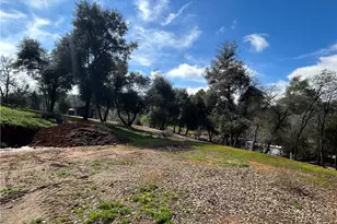 4456 Mount Bullion Cut Off, Catheys Valley, CA 95306 - Photo 10