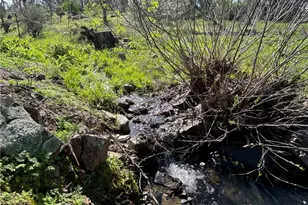 4456 Mount Bullion Cut Off, Catheys Valley, CA 95306 - Photo 24