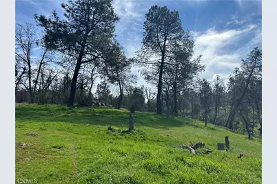 4456 Mount Bullion Cut Off, Catheys Valley, CA 95306 - Photo 6