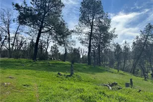 4456 Mount Bullion Cut Off, Catheys Valley, CA 95306 - Photo 6