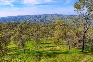 41345 Lilley Mountain R, Coarsegold, CA 94614 - Photo 62