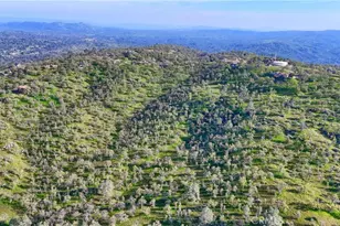 41345 Lilley Mountain R, Coarsegold, CA 93614 - Photo 68