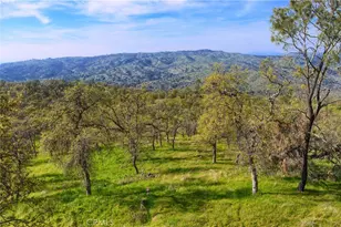 41345 Lilley Mountain R, Coarsegold, CA 93614 - Photo 62
