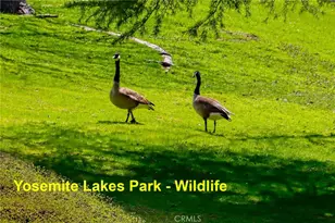 41345 Lilley Mountain R, Coarsegold, CA 94614 - Photo 72