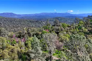 4740 Grist Rd, Mariposa, CA 95338 - Photo 4