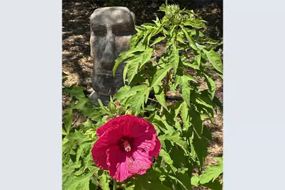 4052 4054 Indian Peak Road, Mariposa, CA 95338 - Photo 38