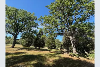 4918 Indian Peak, Mariposa, CA 95338 - Photo 38