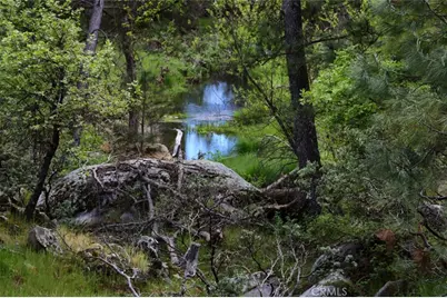 5027 Fox Creek Road, Mariposa, CA 95338 - Photo 70