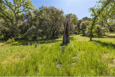 3703 Sherrod, Mariposa, CA 95338 - Photo 58