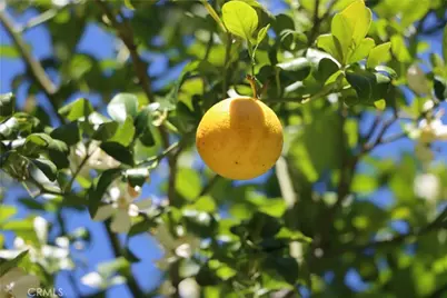 4907 Daffodil Dr, Mariposa, CA 95338 - Photo 42