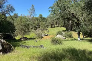 4907 Daffodil Dr, Mariposa, CA 95338 - Photo 56