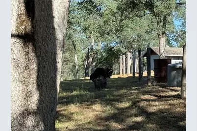 4952 Hidden Springs, Mariposa, CA 95338 - Photo 48
