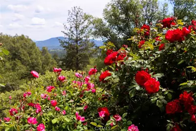 5603 Clouds Rest Road, Mariposa, CA 95338 - Photo 58