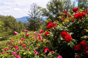 5603 Clouds Rest Rd, Mariposa, CA 95338 - Photo 58