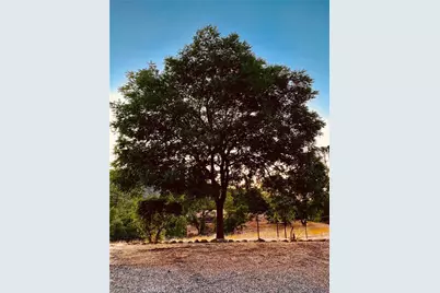 5636 E Whitlock, Mariposa, CA 95338 - Photo 6
