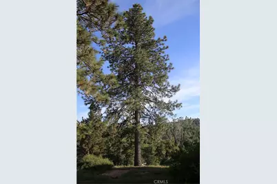 5636 E Whitlock, Mariposa, CA 95338 - Photo 10