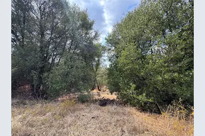 2 Ac Summerhill Ln, Coarsegold, CA 93614 - Photo 14