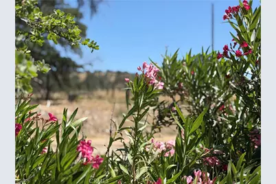 2099 Old Hwy, Catheys Valley, CA 95306 - Photo 30