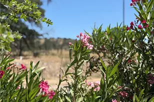 2099 Old Hwy, Catheys Valley, CA 95306 - Photo 30