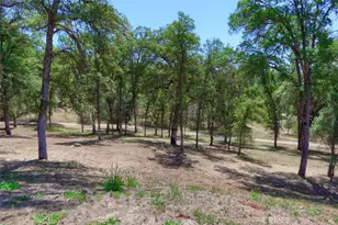 4121 Old Hwy, Mariposa, CA 95338 - Photo 26