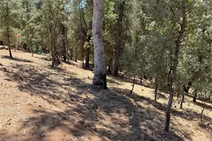 4121 Old Hwy, Mariposa, CA 95338 - Photo 52