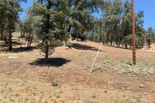 4121 Old Hwy, Mariposa, CA 95338 - Photo 46